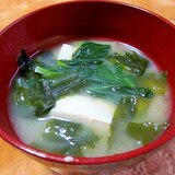 小松菜・豆腐・わかめの味噌汁